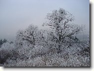 Slovensko-Zimn rozprvka