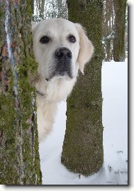 Domingo de Bismillhi