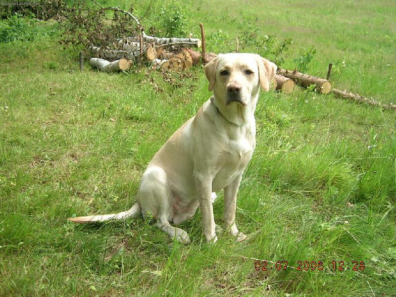 Foto: Aimi-P�zov�n� pro pani�ku