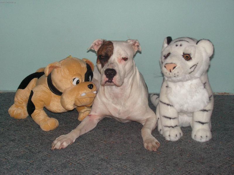 Foto: ply��ci-Kdo z n�s je pravej???