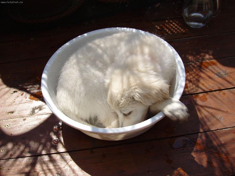 Foto: u� jsem to zam�zla-ve st�nu palem....