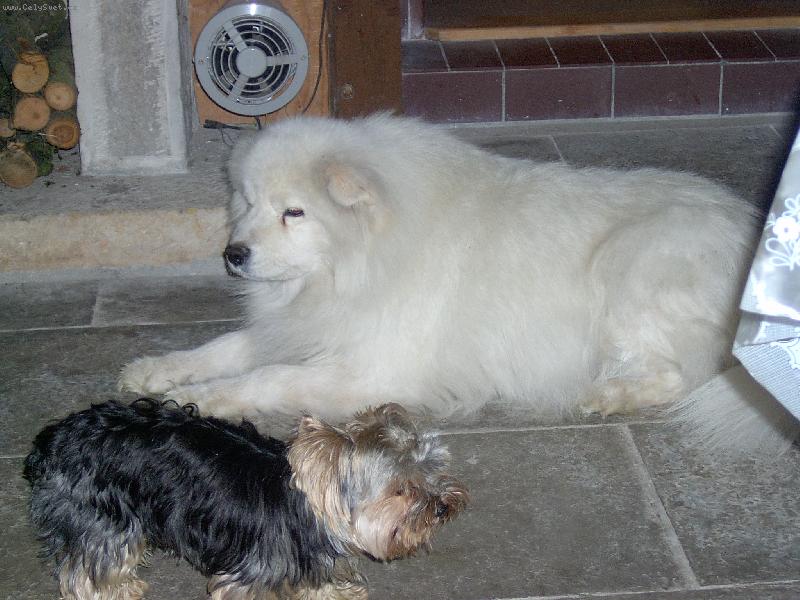 Foto: Bella-Pokukuje :))