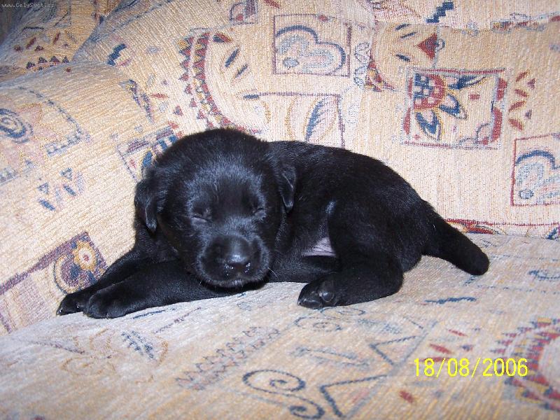 Foto: Na�e miminko