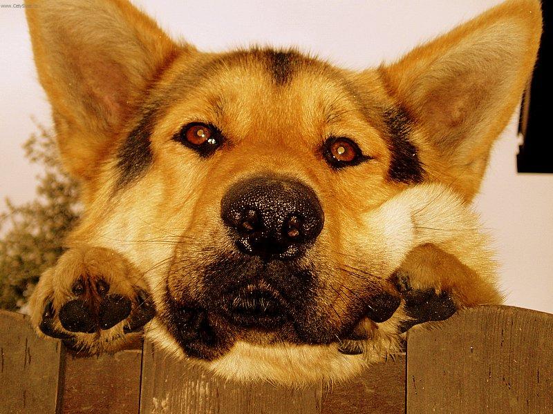 Foto: Pros�m, neodch�zej!!!!