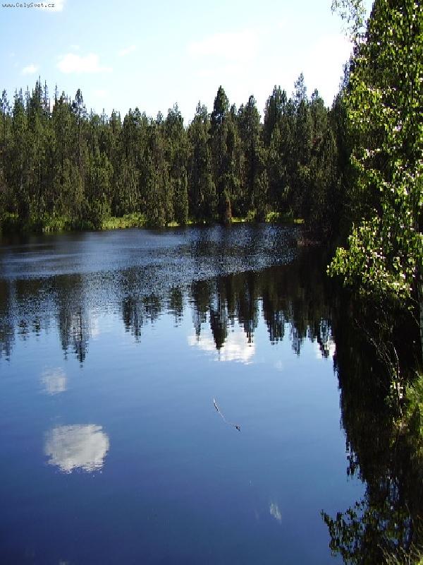 Foto: Machov� jez�rko-Jen si lehnout na hladinu a spl�vat