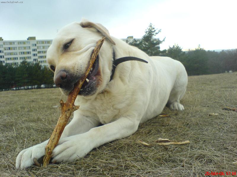 Foto: M�j klac�k !!!