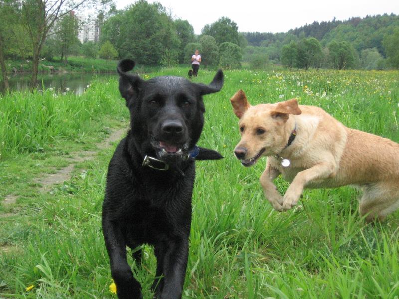 Foto: Tracy a Angie-... za letu ...