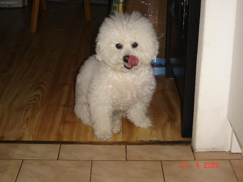 Foto: Arkinka-M�am m�am to byla dobr�tka