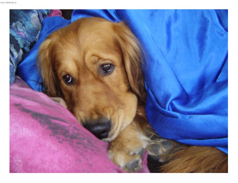 Foto: v perinach-no jo, mate pravdu, jsem gaucak:)