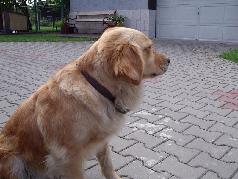 Foto: Viktorka-Odm�t�m se fotit!!!