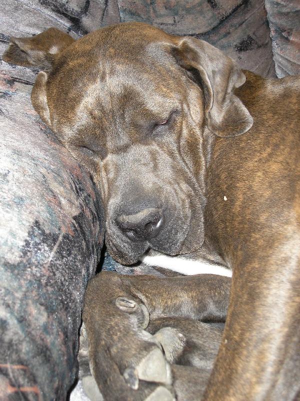 Foto: Sladk� sny-"Mal�" Cassie sladce spink�