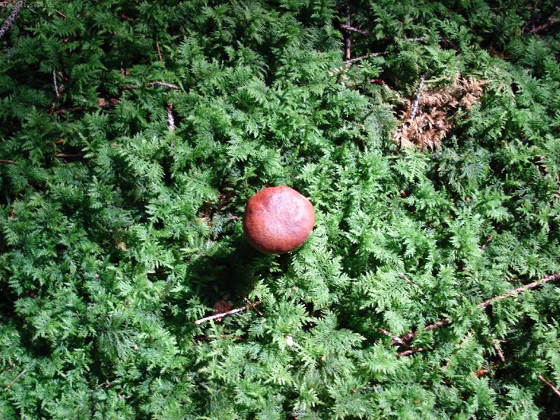 Foto: Prvn� h��bek