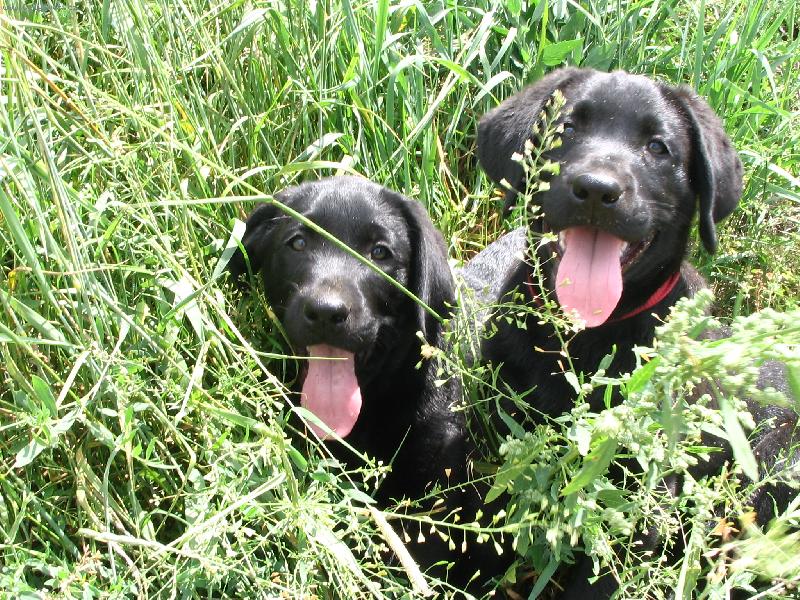 Foto: Nerozlu�n� dvojka-prozat�m-Barunka a Samuel
