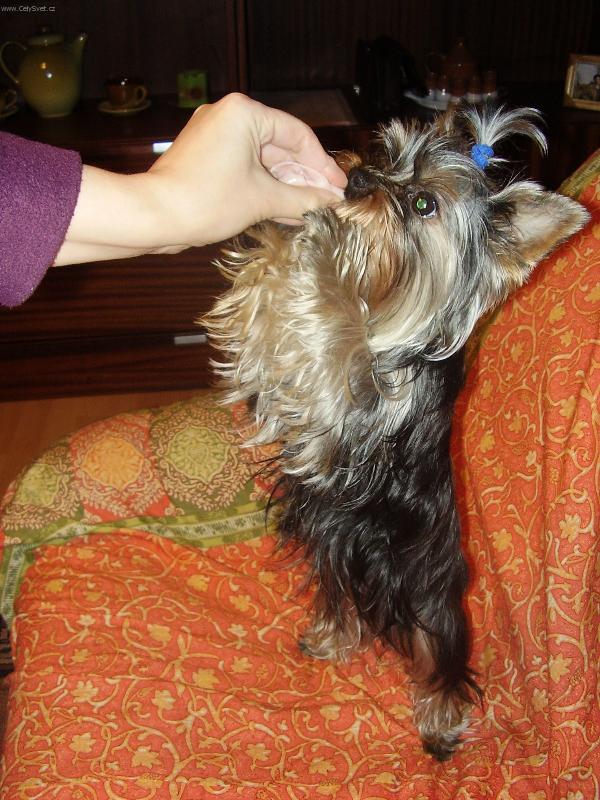 Foto: Roz�rka-tak u� pus� tu �unku!!