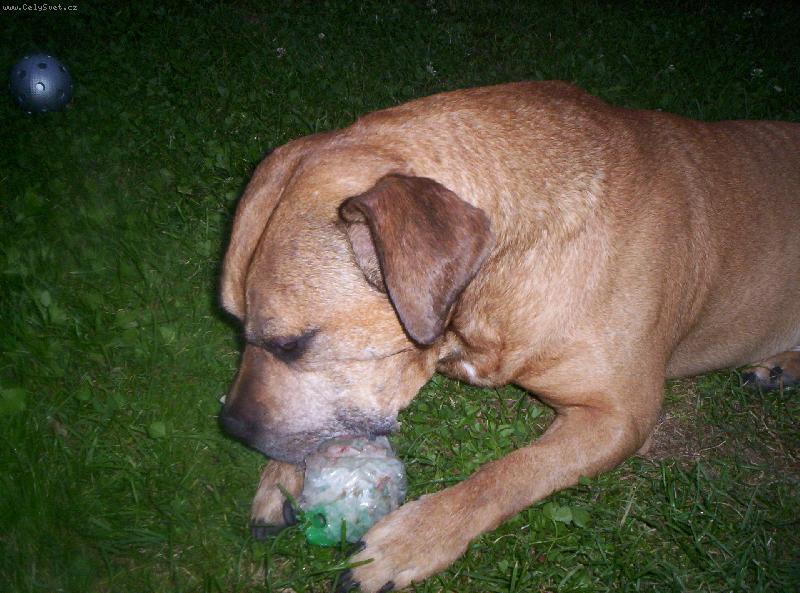 Foto: luk�nek-to je moc dobr�...