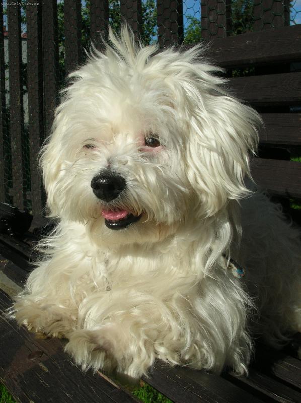 Foto: Mont�k-Na�e mal� �pind�ra