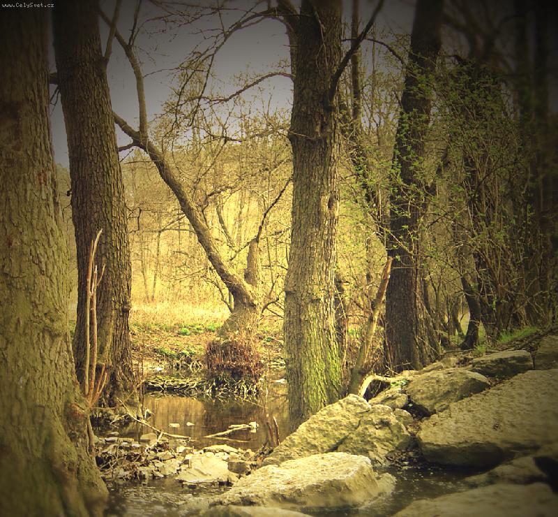 Foto: V lesoparku-na Ji���ku