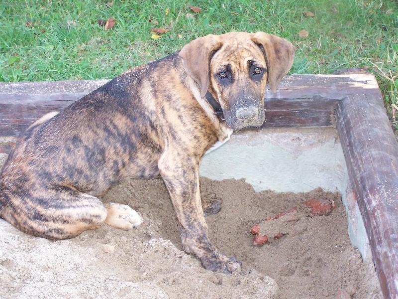 Foto: Fid�k-zat�m miminko