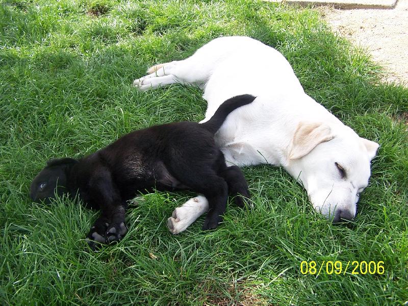 Foto: F�k s Brendou-star�� sourozenci jsou n�kdy u�ite�n� (nap�. jako pol�t��)