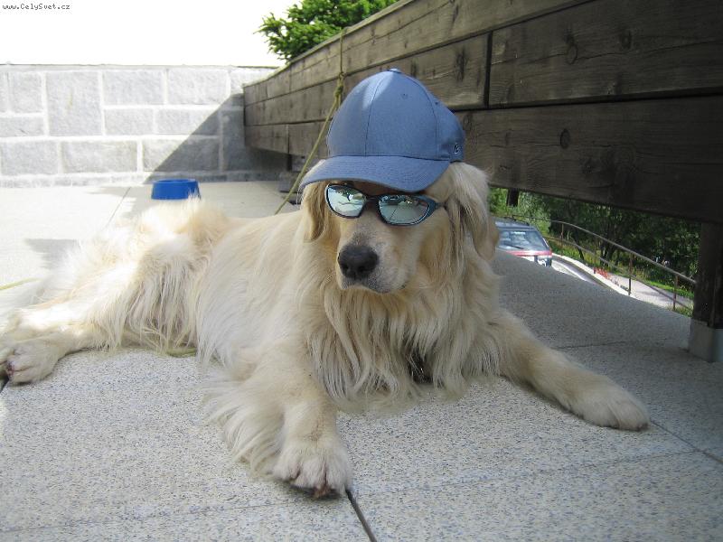 Foto: slunicko sviti-chranim si ocicka