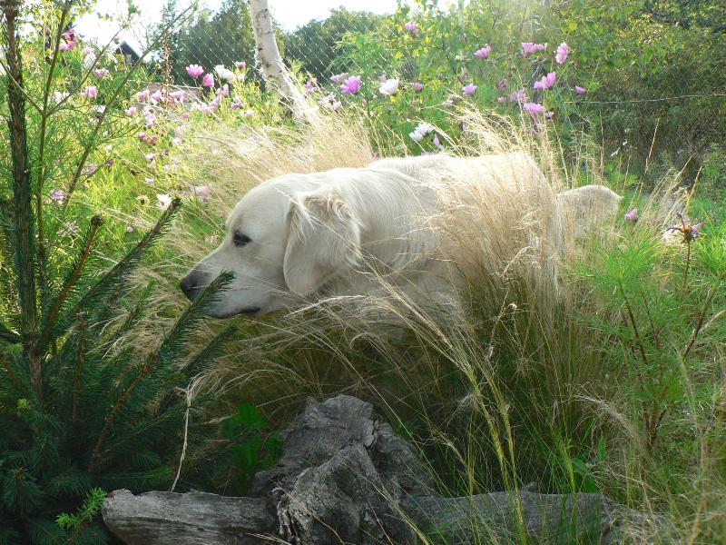 Foto: Nase kralovnicka :-)-Eminka