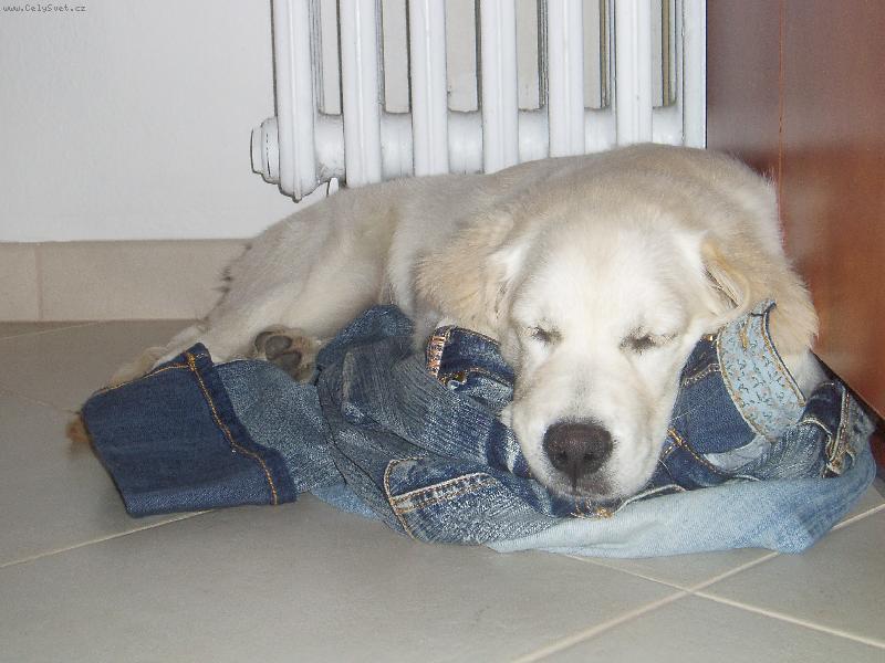 Foto: v�ude se sp� dob�e