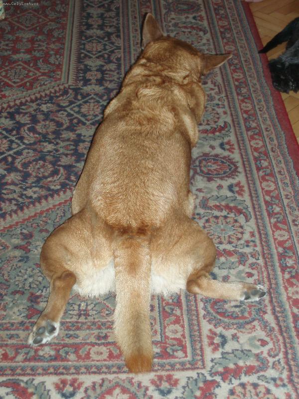 Foto: Rita-Jej� nejobl�ben�j�� poloha