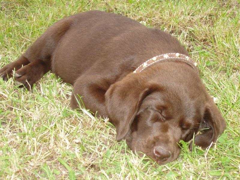 Foto: na�e zlat��ko