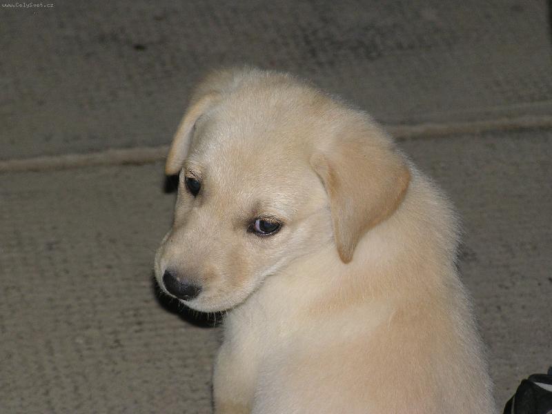 Foto: Kuk!Kdo m� to fot�?!