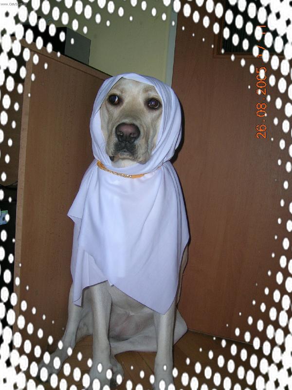 Foto: MegiNka-v h�bitu,kter� mi moc slu��:))