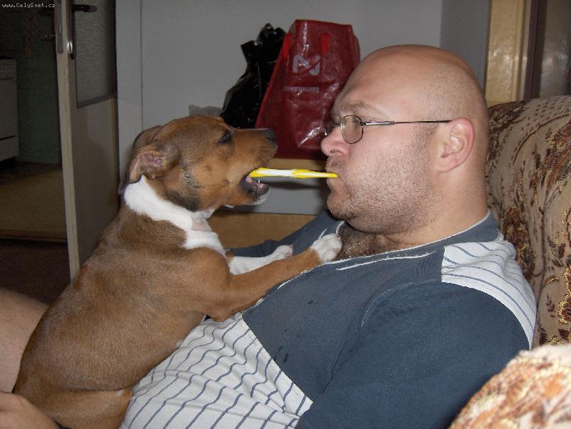 Foto: Hygiena-A� ti p�n��ku vy�ist�m zuby, tak mi m��e� d�t pusu.