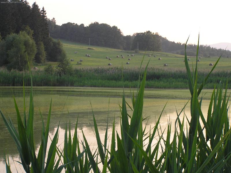 Foto: kr�sa p��rody