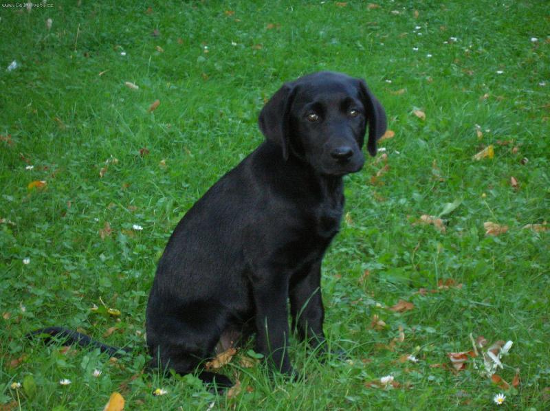 Foto: Na proch�zce-Jdeme domu, u� m� to hran� s v�ma nebav�!