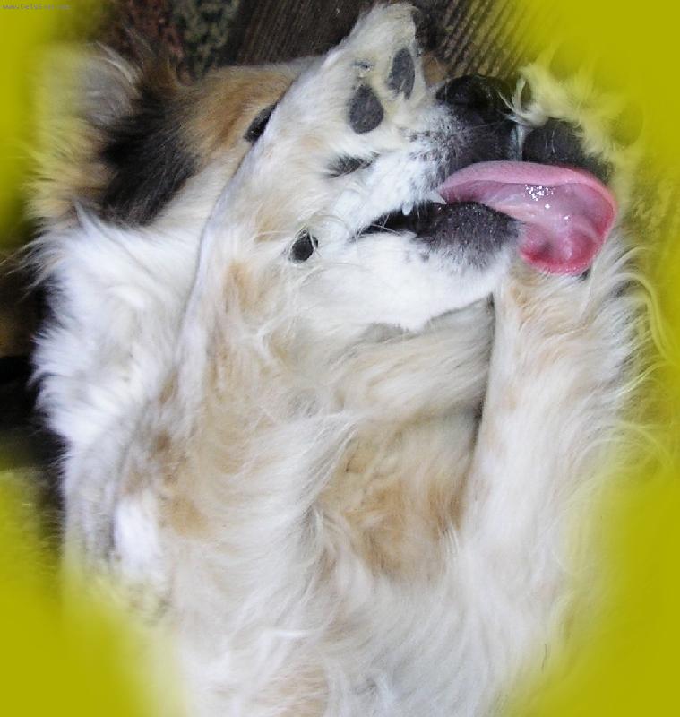 Foto: F�K-F�K POZUJE