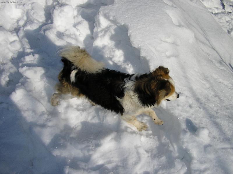 Foto: F�K-F�K POZUJE