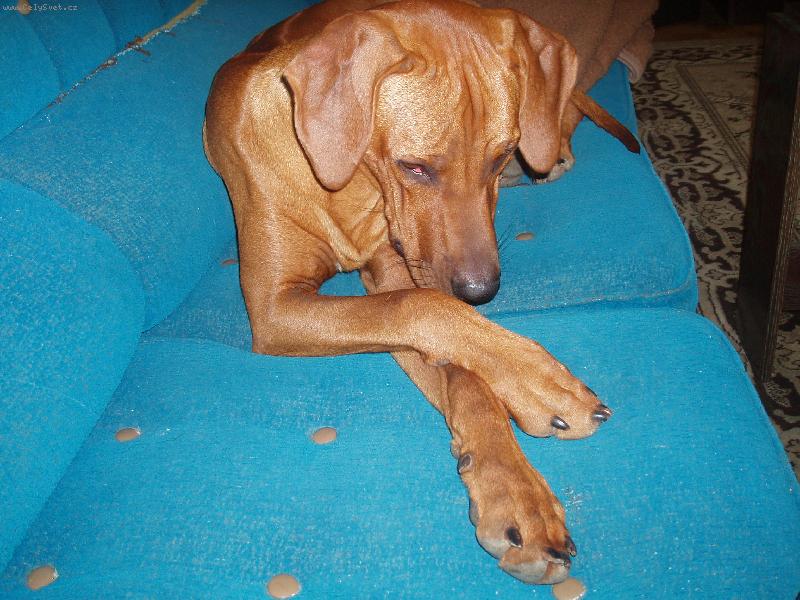 Foto: Neru�it pros�m.