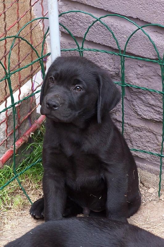 Foto: Barry-Fotka z ml�d�!!!