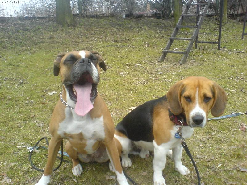 Foto: "spr�vn� dvojka"