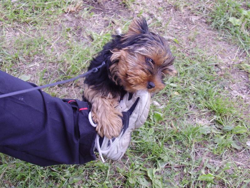 Foto: Trha� Vil�k