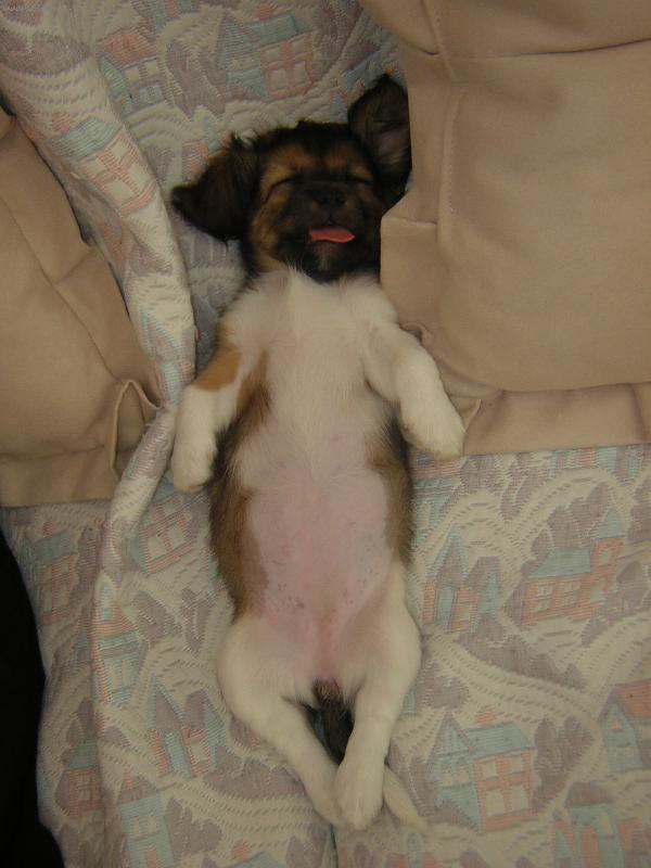 Foto: Betynka-sp�c� Betynka