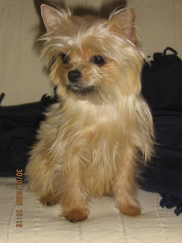 Foto: Anetka-pohoda u televize