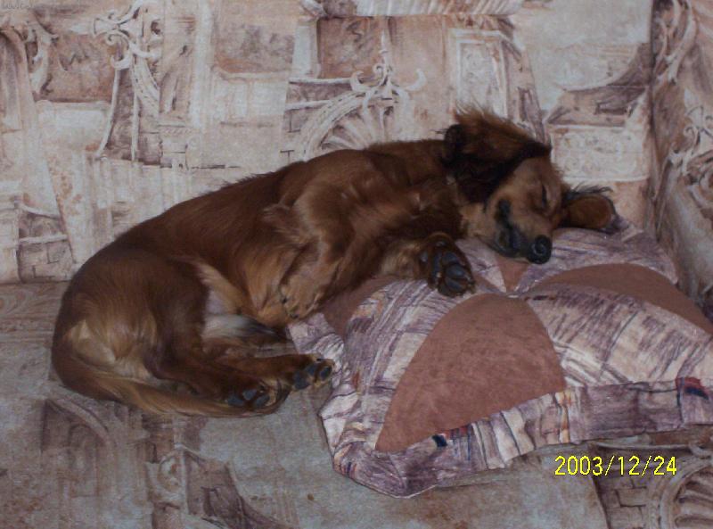 Foto: Max��ek-To se mi to kr�sn� spink�....