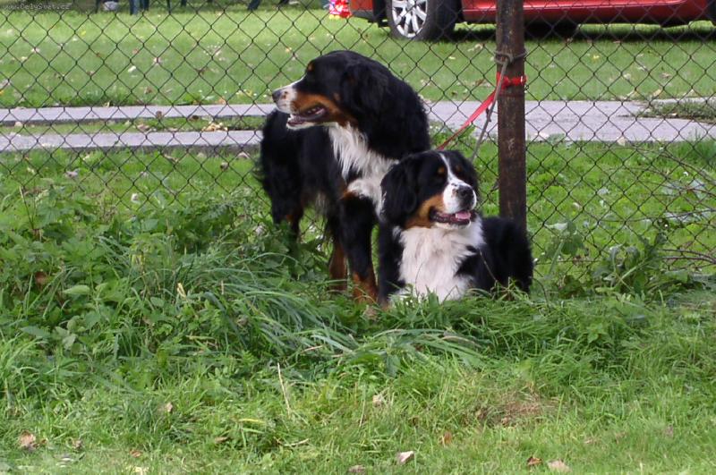 Foto: Pudjdeme si hr�t???