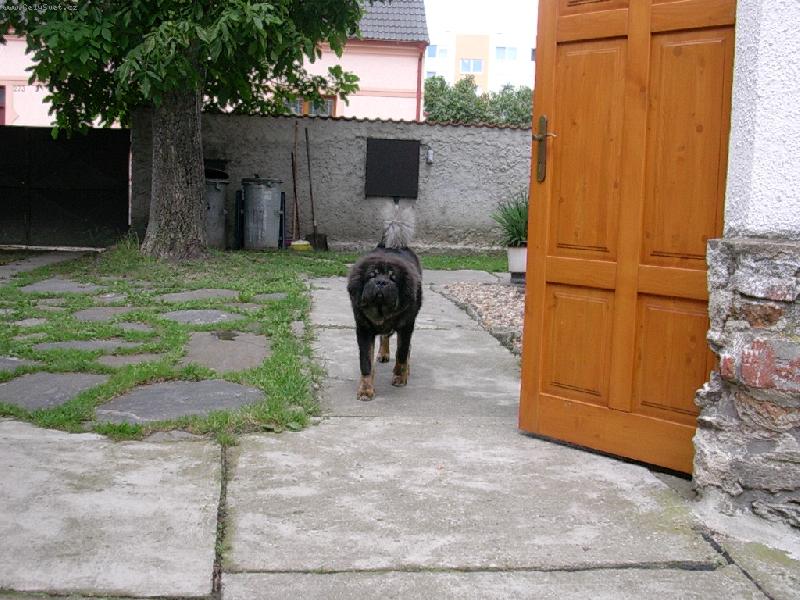 Foto: Protahov�n�