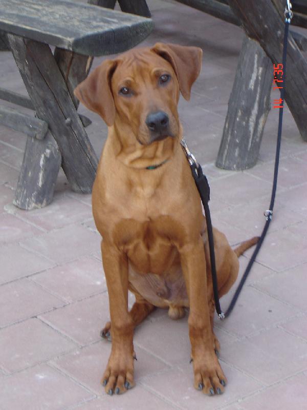 Foto: Didier Fontanesia- sp�ni�ky na pive�ku