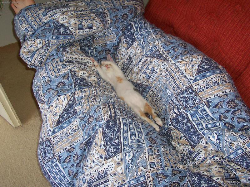 Foto: T�k� pohoda na�� Dorotky-Dorotka