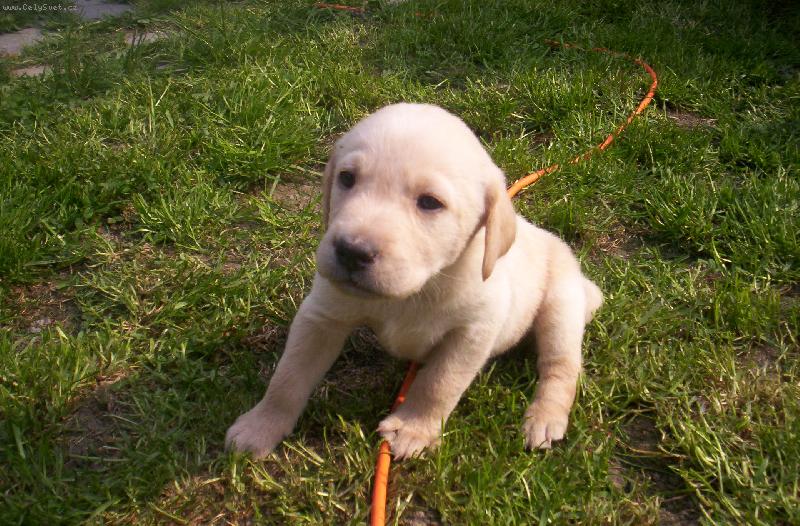 Foto: Apollo kdy� byl malinkej