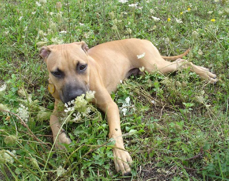 Foto: Madox-Miluju te!