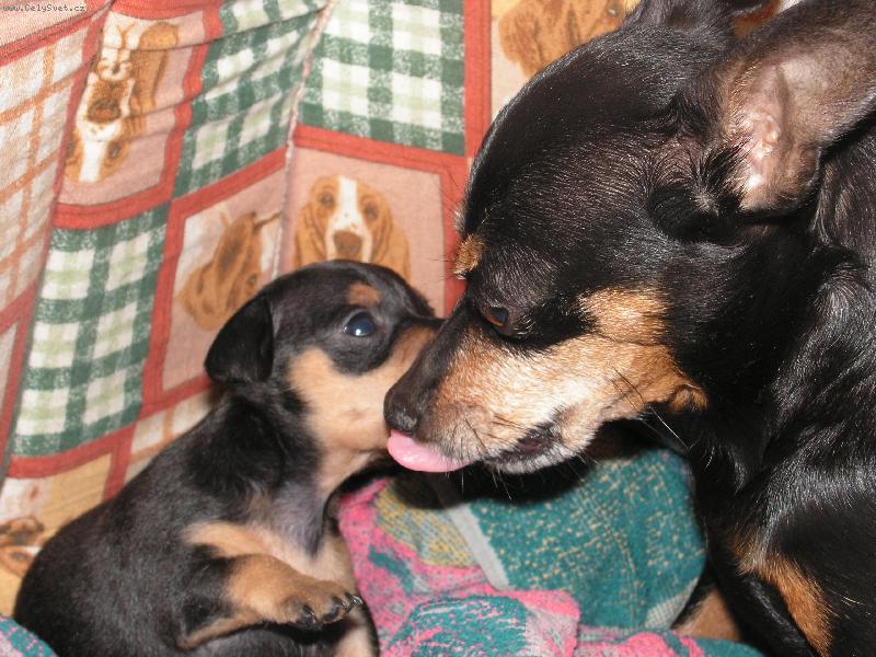 Foto: Eny a maminka Peggy-Je�t� pusinku a alou na kut�...