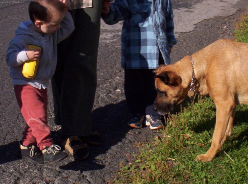 Foto: miluju d�ti-miluju d�ti